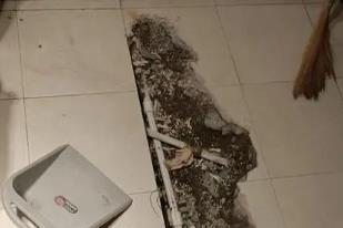 新会卫生间漏水检测电话
